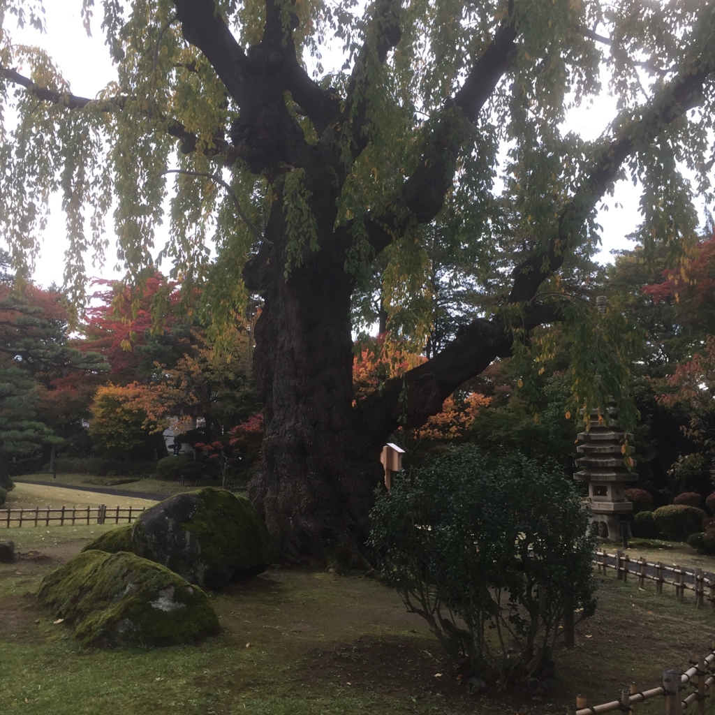 藤田記念庭園