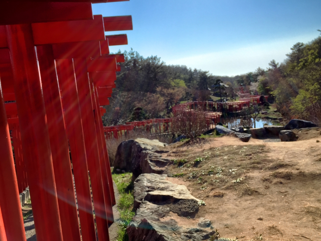 【高山稲荷神社】千本鳥居 【高山稲荷神社】千本鳥居