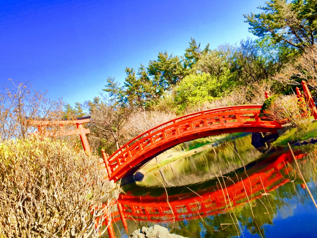 【高山稲荷神社】水面鏡