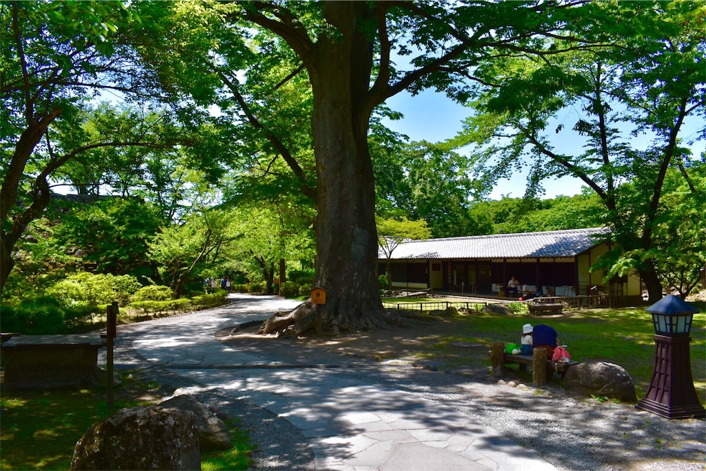 『あの夏で待ってる』【小諸城址懐古園】