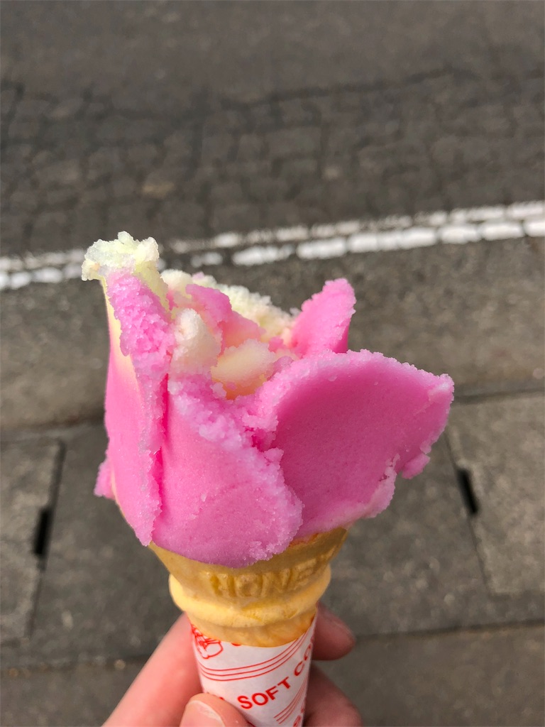 【おまけ】秋田県名物ばばへらアイスを食す 【おまけ】秋田県名物ばばへらアイスを食す