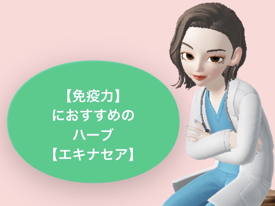 f:id:rinnkoxx:20200814000600j:plain f:id:rinnkoxx:20200814000600j:plain