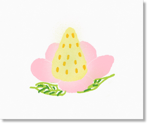 f:id:rinon24000:20180408171633p:plain イチゴ白花托
