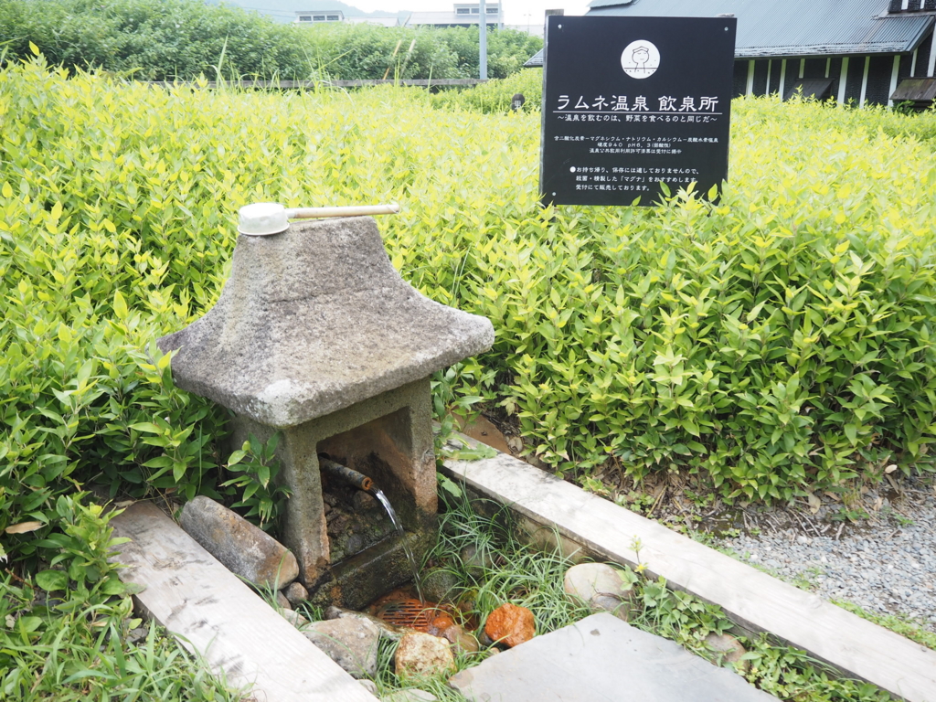 f:id:rinosayukaho:20160804121654j:plain