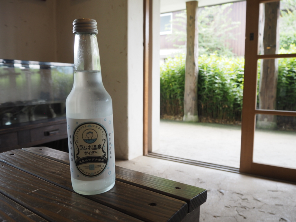 f:id:rinosayukaho:20160804122744j:plain