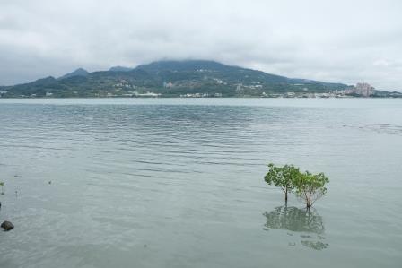 f:id:rinpachi:20190125222741j:plain f:id:rinpachi:20190125222741j:plain