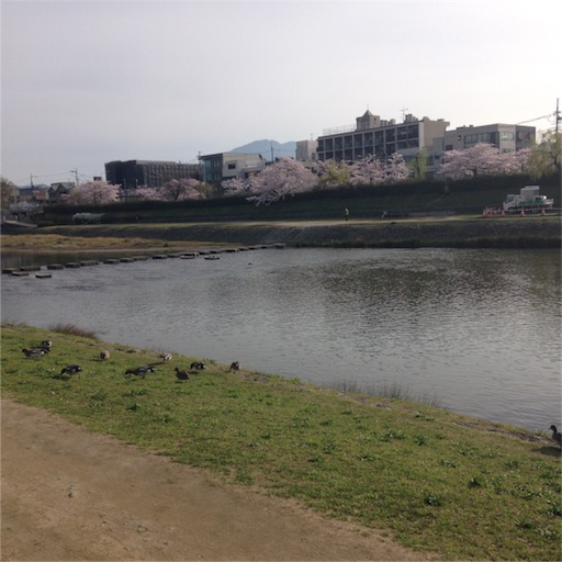 f:id:rinppa:20170410140432j:image f:id:rinppa:20170410140432j:image