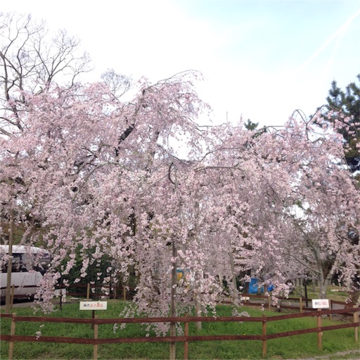 f:id:rinppa:20170410140629j:image f:id:rinppa:20170410140629j:image