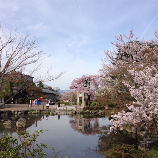 f:id:rinppa:20170410140702j:image f:id:rinppa:20170410140702j:image