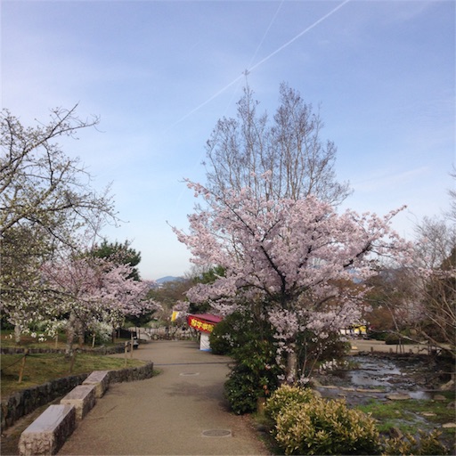 f:id:rinppa:20170410140907j:image f:id:rinppa:20170410140907j:image