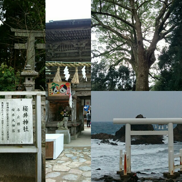 f:id:rinrin-kimamani:20170111211940j:image