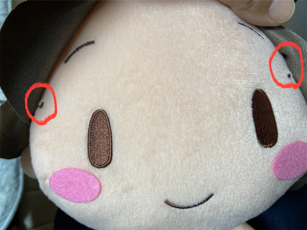f:id:rinrin_rinchan:20211211231826j:image