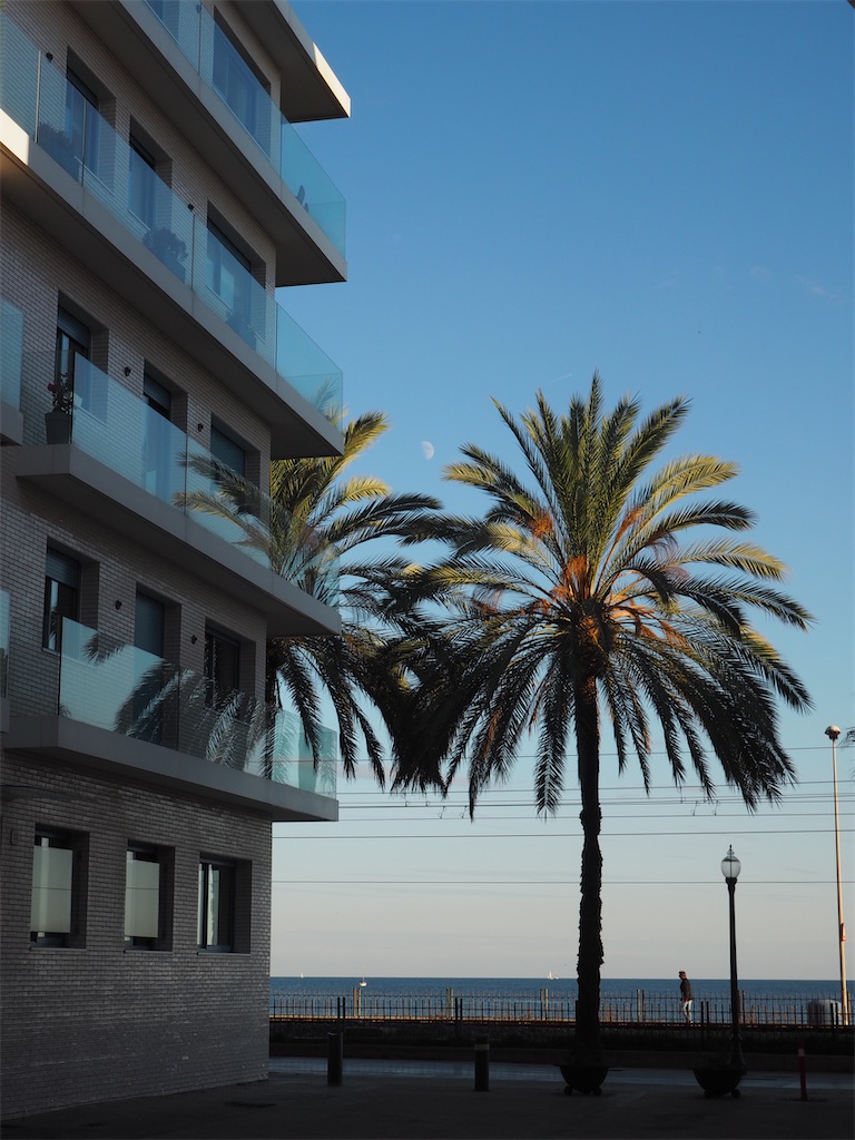 f:id:rinrinviaje:20241115073715j:image