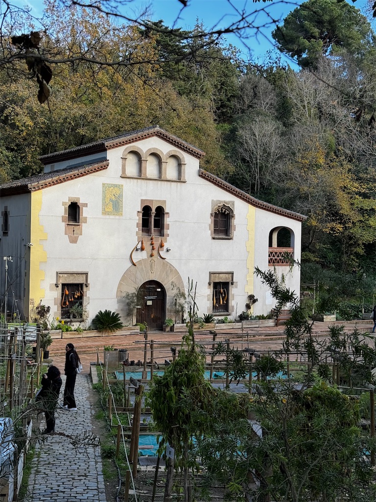 f:id:rinrinviaje:20250212164946j:image