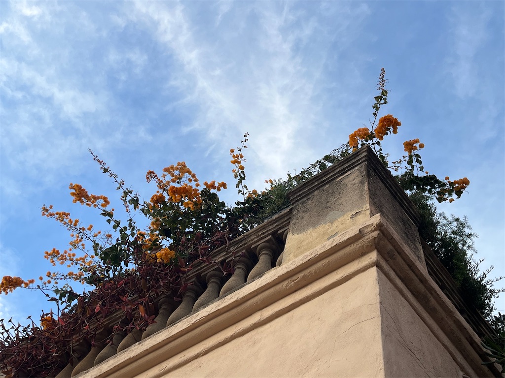 f:id:rinrinviaje:20250214030341j:image