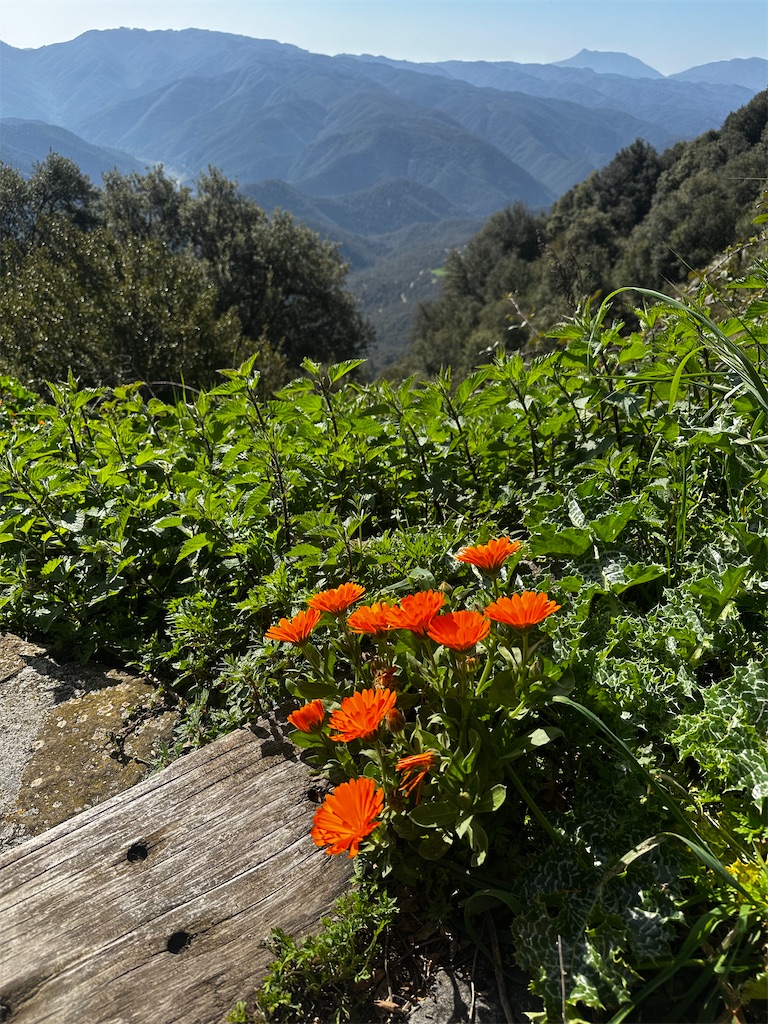 f:id:rinrinviaje:20250416065202j:image f:id:rinrinviaje:20250416065202j:image