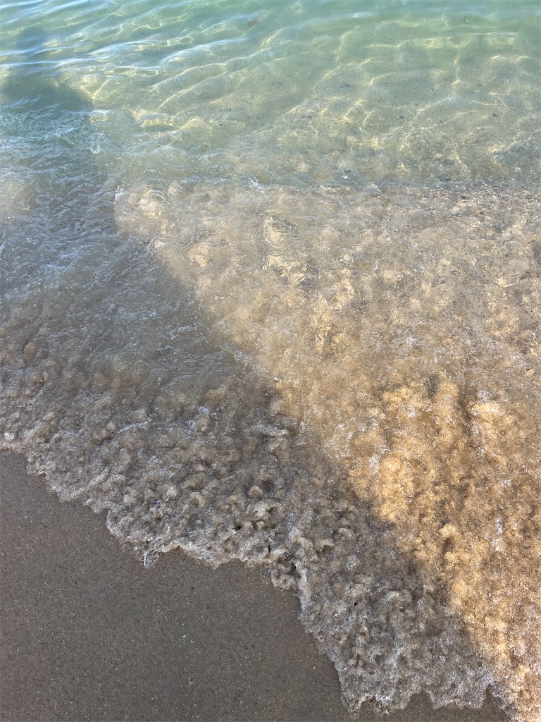 f:id:rinrinviaje:20250625163223j:image