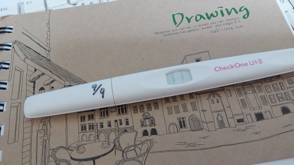 体験談 男の子産み分け成功した我が家が行なった4つの方法 30代で生前整理始めました 幸せになるために 体験談 男の子産み分け成功した我が家が行なった4つの方法 30代で生前整理始めました 幸せになるために