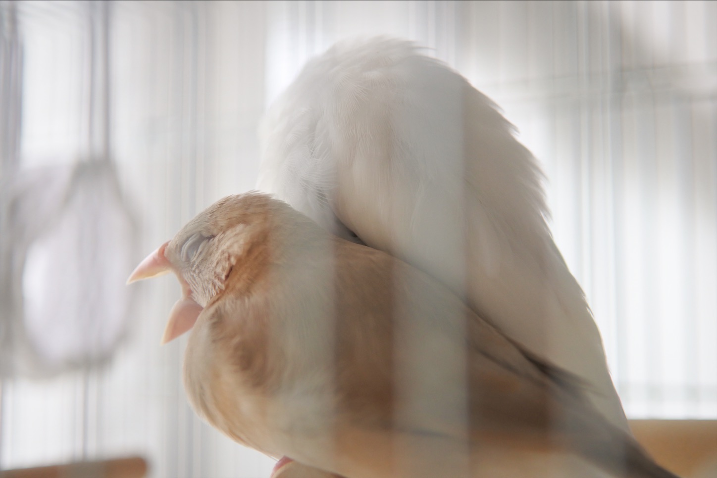 f:id:rintaro113:20210618174537j:image f:id:rintaro113:20210618174537j:image