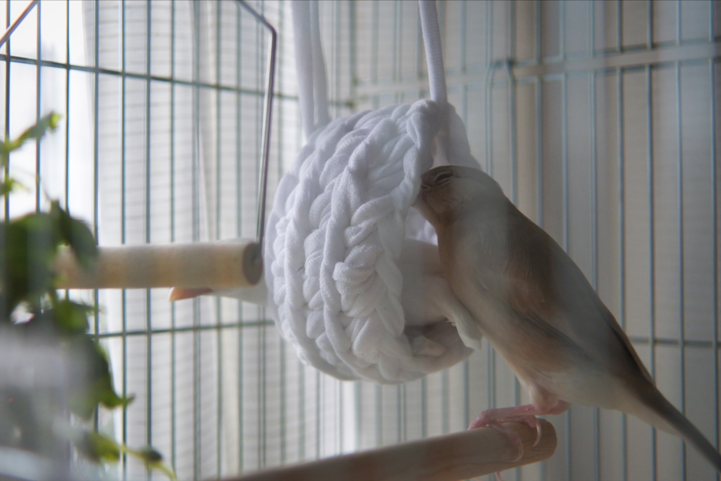 f:id:rintaro113:20210618174544j:image f:id:rintaro113:20210618174544j:image