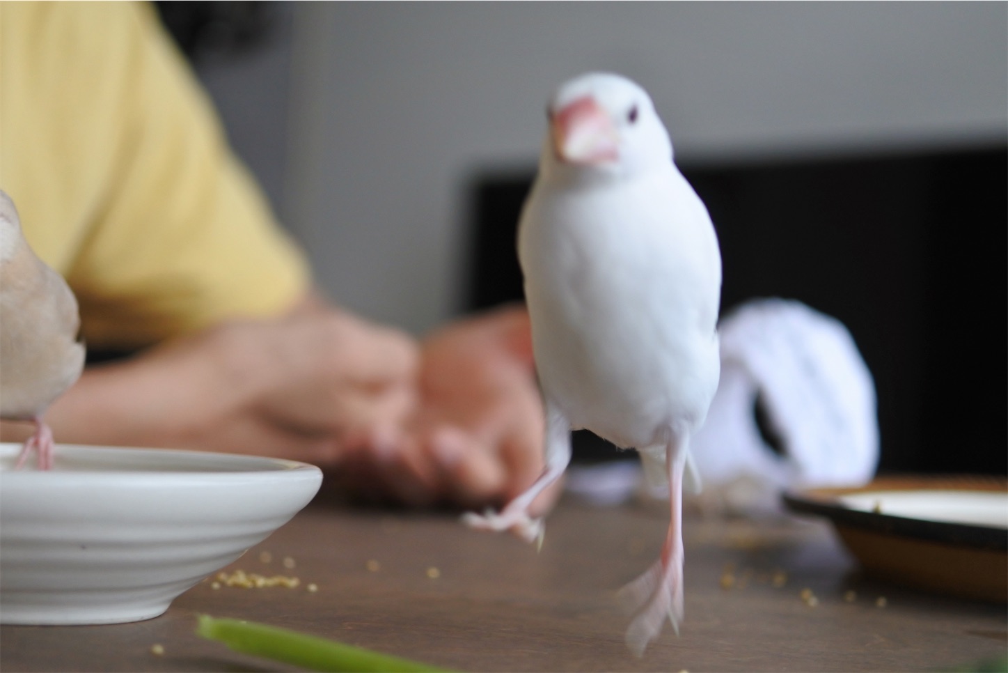 f:id:rintaro113:20210618175628j:image f:id:rintaro113:20210618175628j:image
