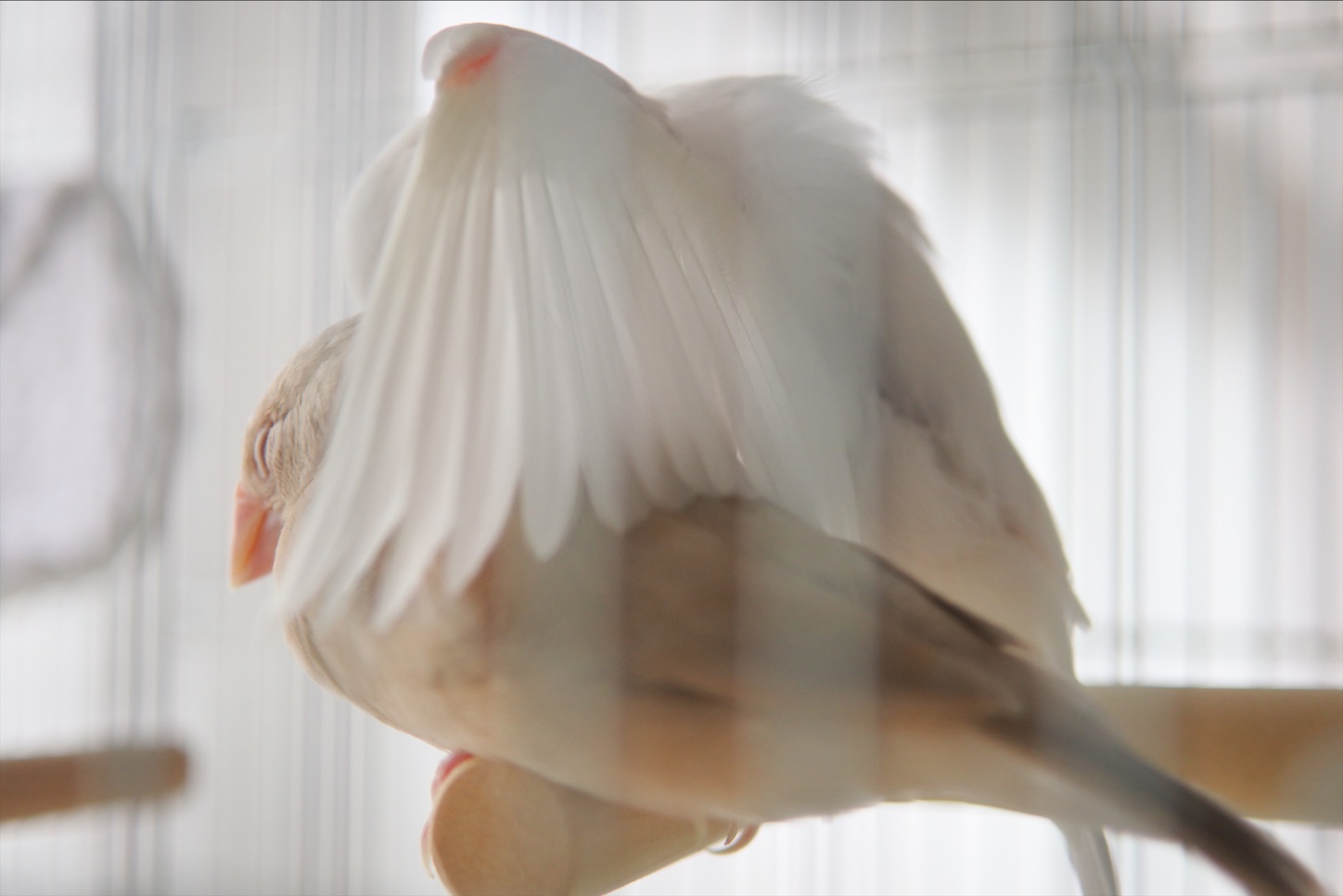 f:id:rintaro113:20210618175717j:image f:id:rintaro113:20210618175717j:image