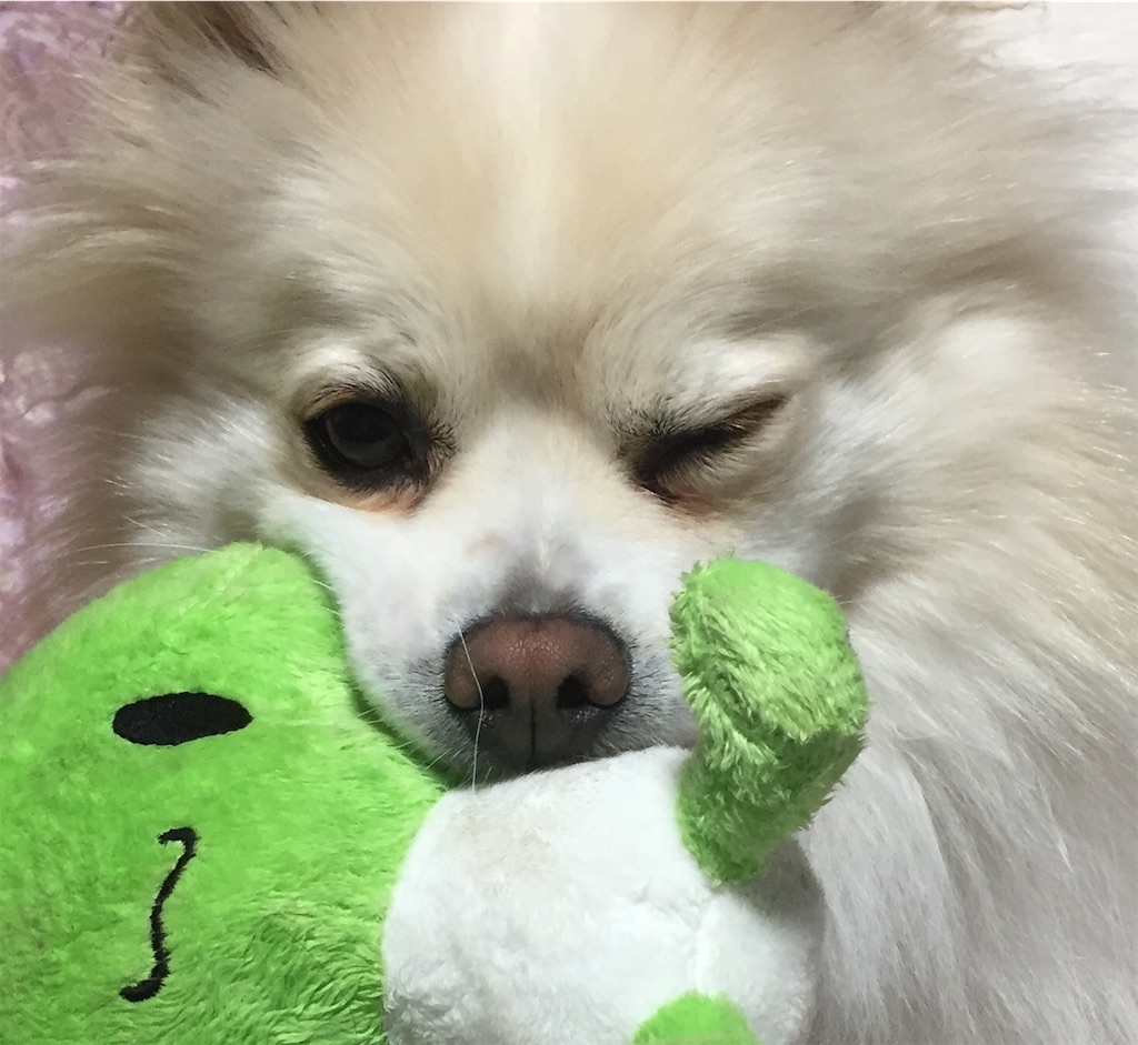 f:id:rintohanatan:20191225150033j:image