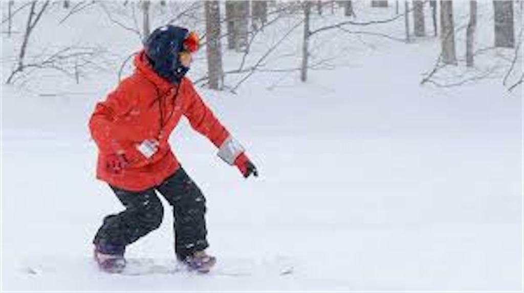 f:id:rinya4291:20221212183853j:image