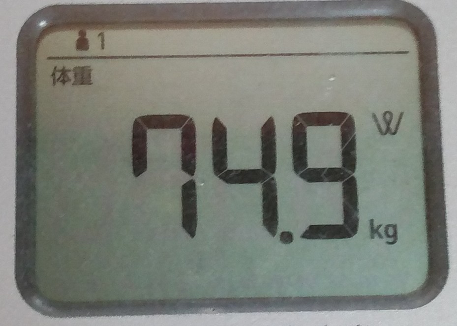 f:id:rinzinn:20190728224217j:plain