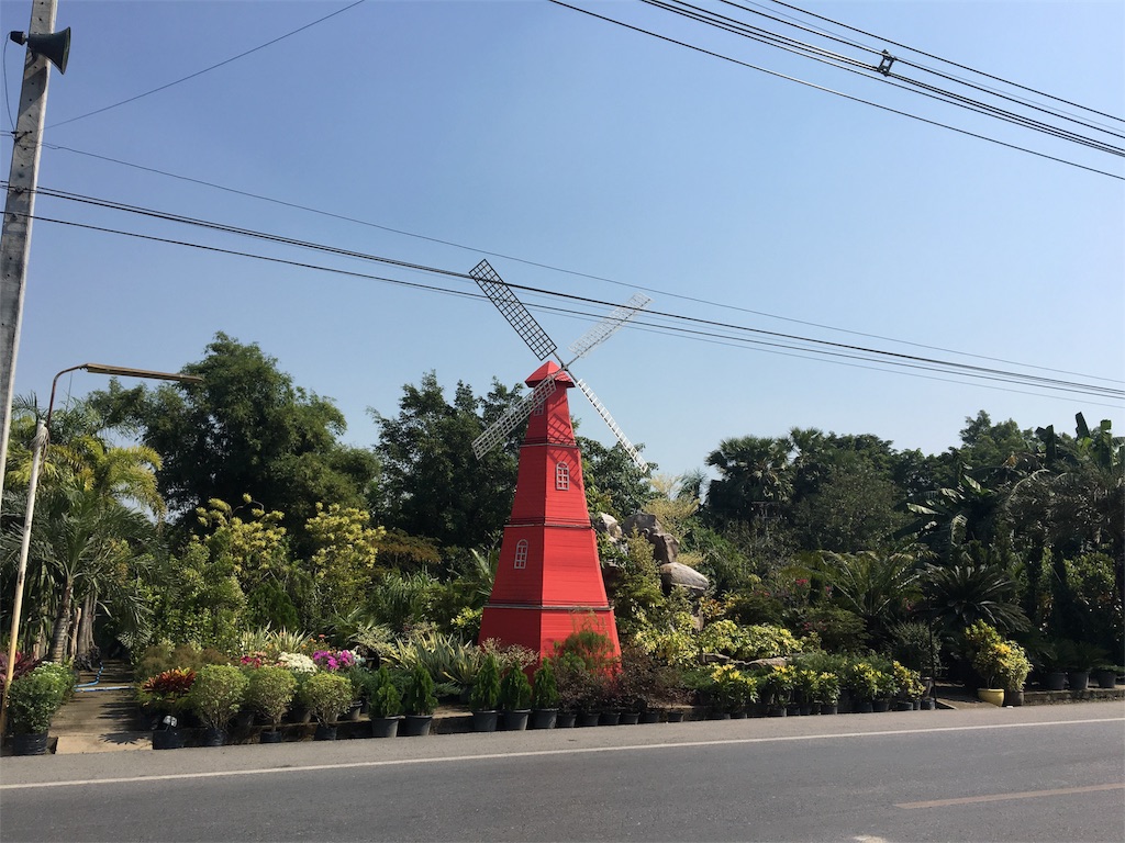 f:id:rio0913koizumi-idaa:20190116205828j:image f:id:rio0913koizumi-idaa:20190116205828j:image