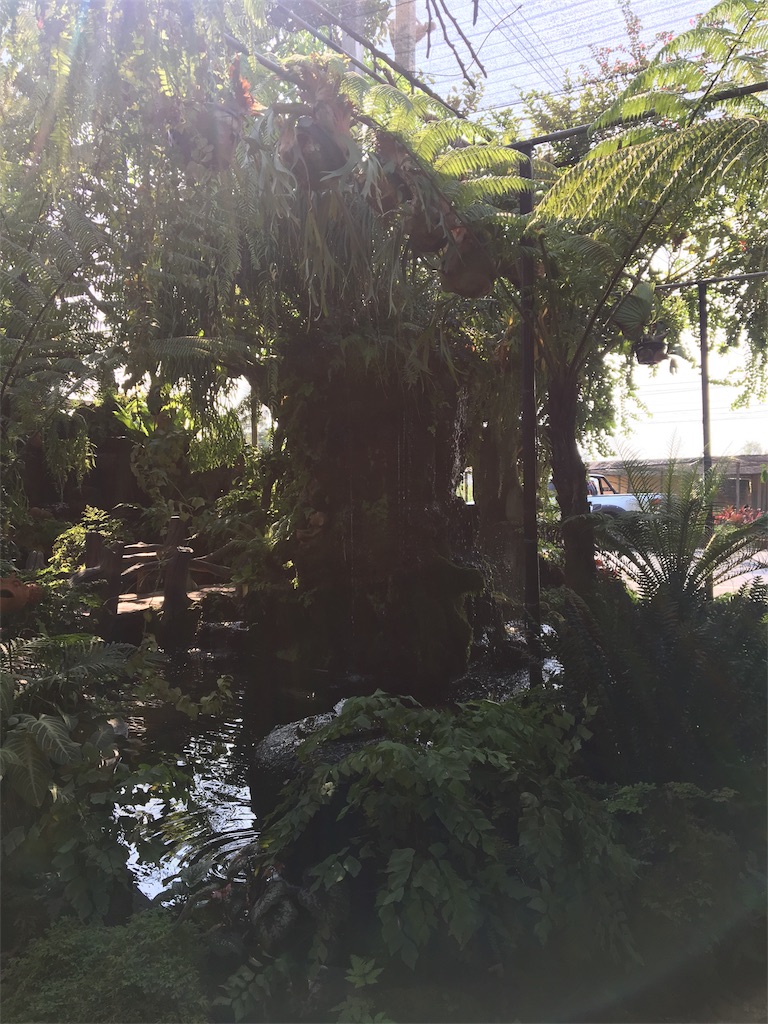 f:id:rio0913koizumi-idaa:20190116211347j:image f:id:rio0913koizumi-idaa:20190116211347j:image