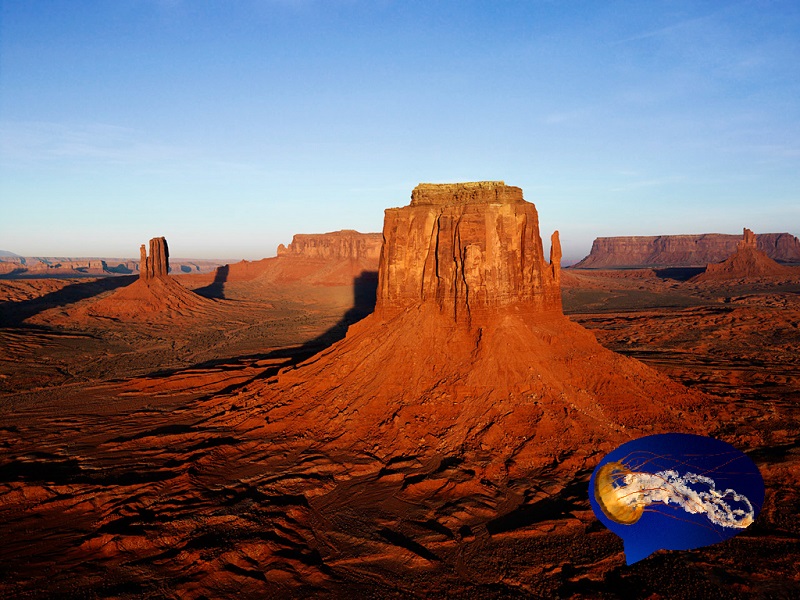 f:id:rio223jp:20080314135926j:image:w250 f:id:rio223jp:20080314135926j:image:w250