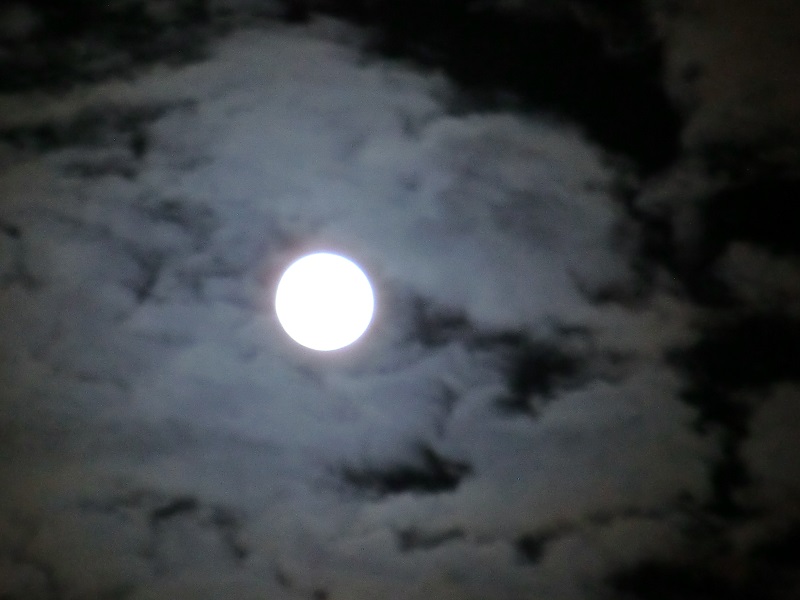 f:id:rio223jp:20150928203838j:image:w360