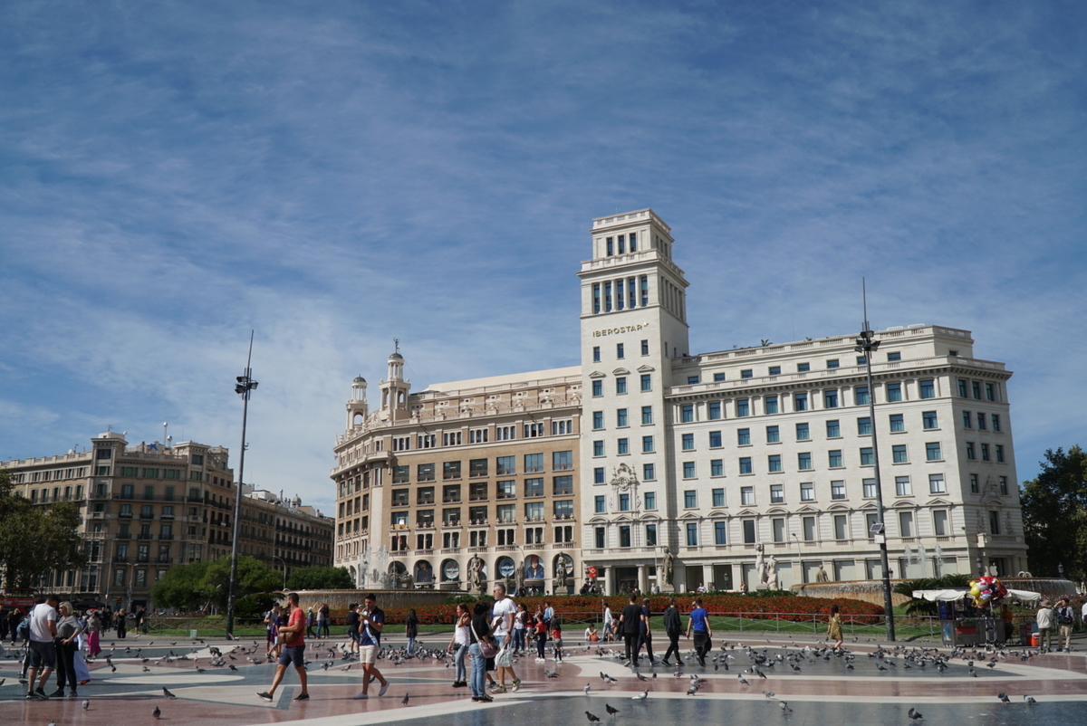 f:id:rio_carpe_diem:20191228123015j:plain