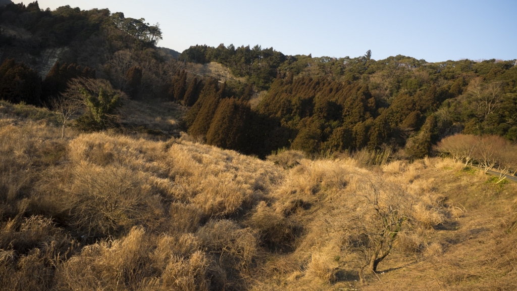 f:id:rio_t:20160211163442j:plain