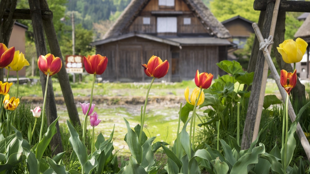 f:id:rio_t:20160503084524j:plain