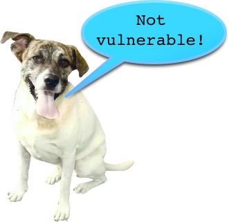 f:id:riocampos:20141015162851p:image:h150