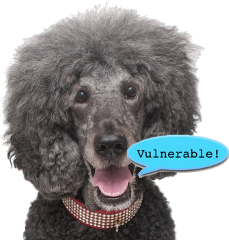 f:id:riocampos:20141016194542p:image:h150