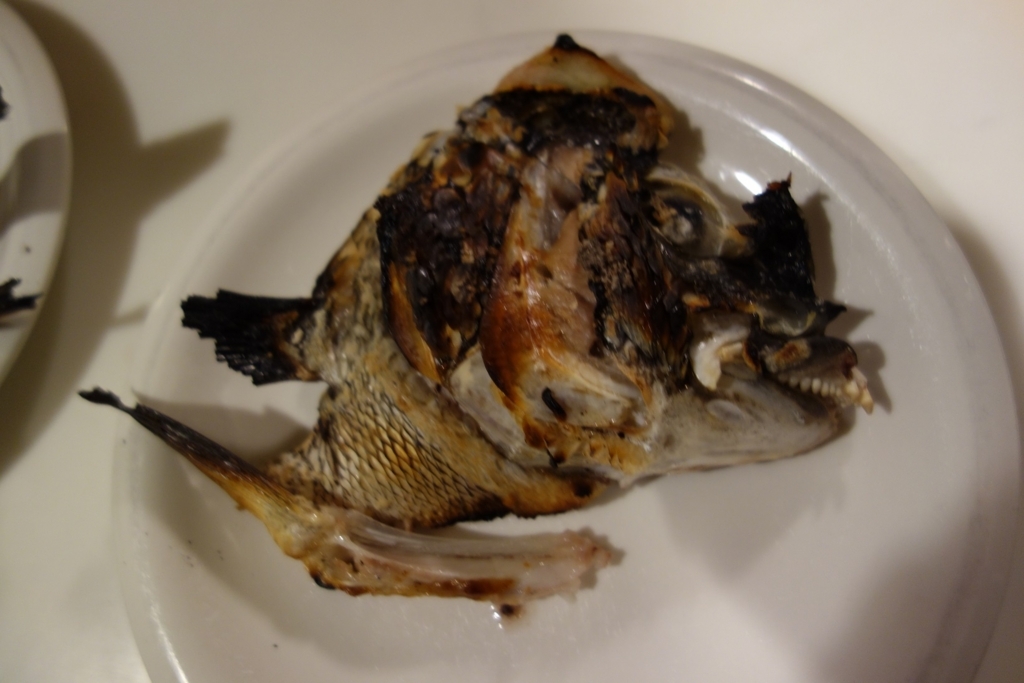 f:id:rioeyattchi:20171218001756j:plain