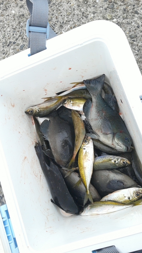 f:id:rioeyattchi:20171231154832j:plain