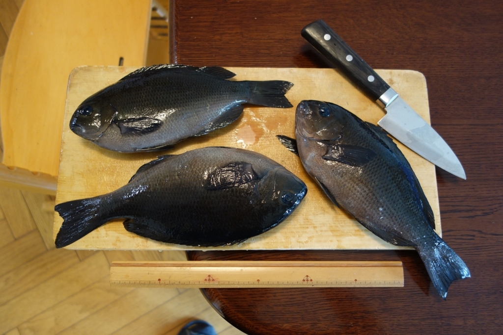 f:id:rioeyattchi:20180311231040j:plain