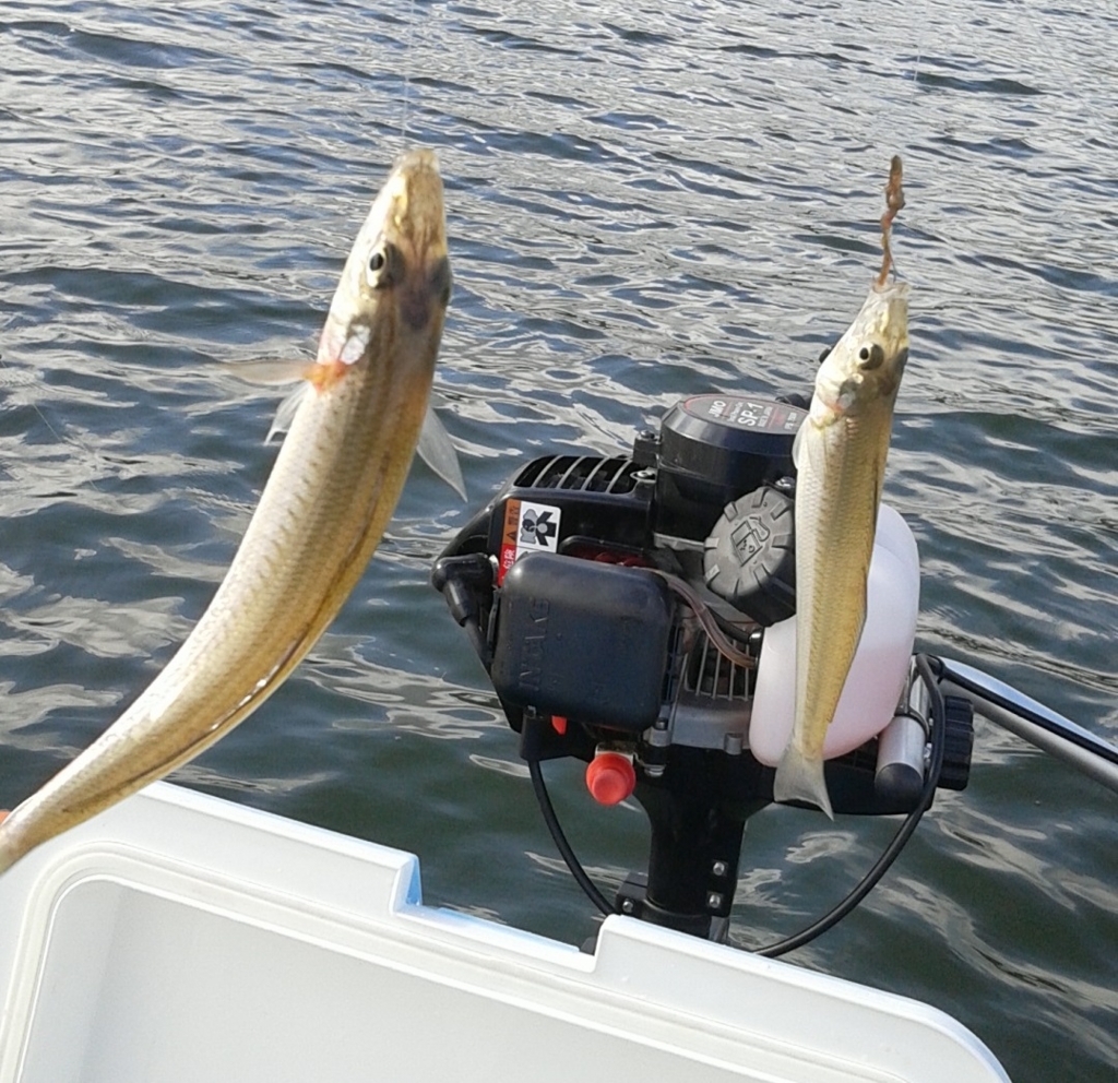 f:id:rioeyattchi:20180609153752j:plain