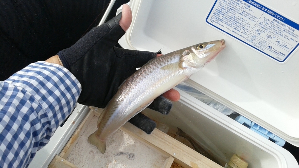 f:id:rioeyattchi:20180609153909j:plain