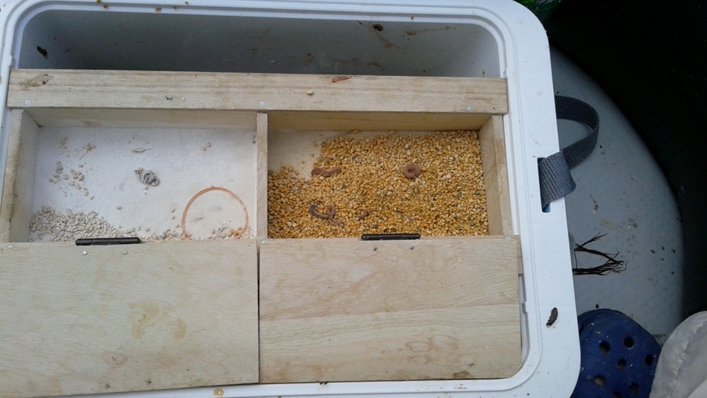 f:id:rioeyattchi:20180609154103j:plain