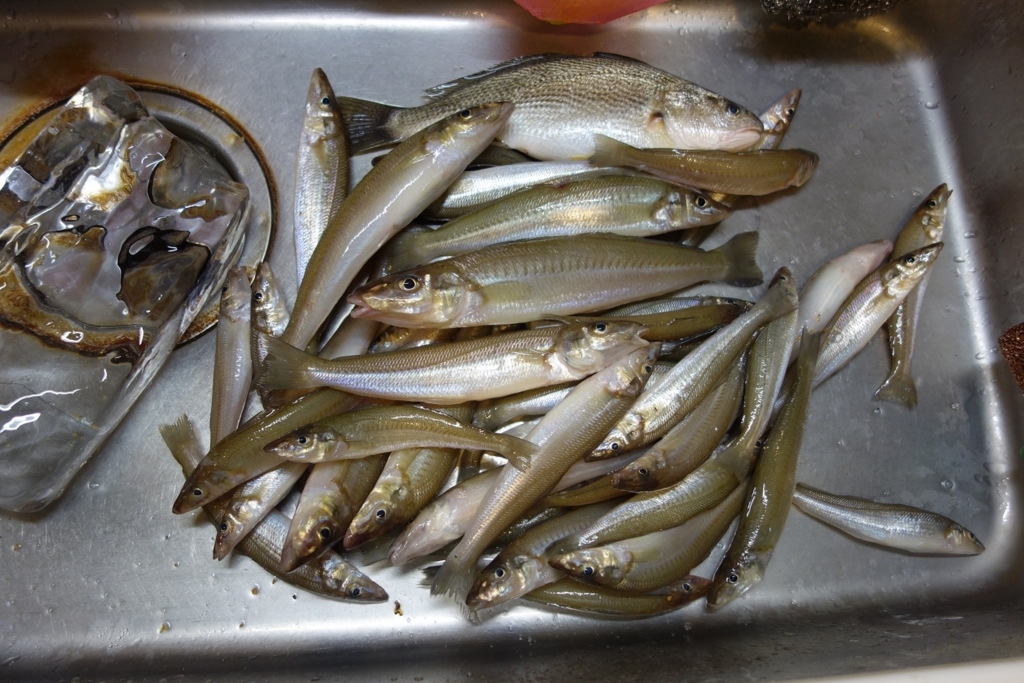 f:id:rioeyattchi:20180609154518j:plain