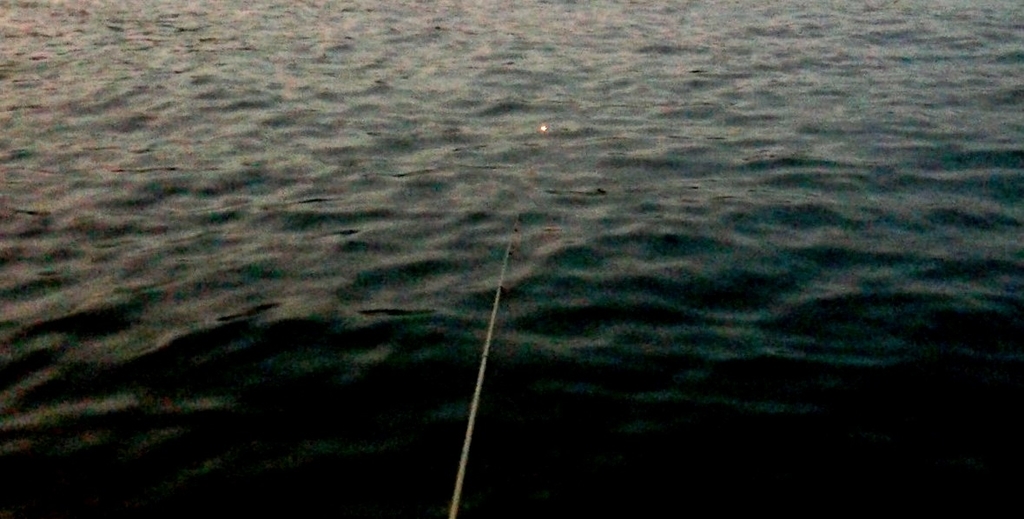 f:id:rioeyattchi:20181227000250j:plain