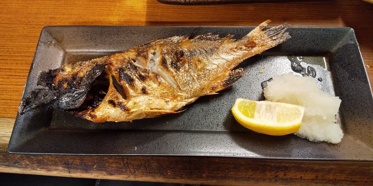 f:id:rioeyattchi:20200428131452j:plain