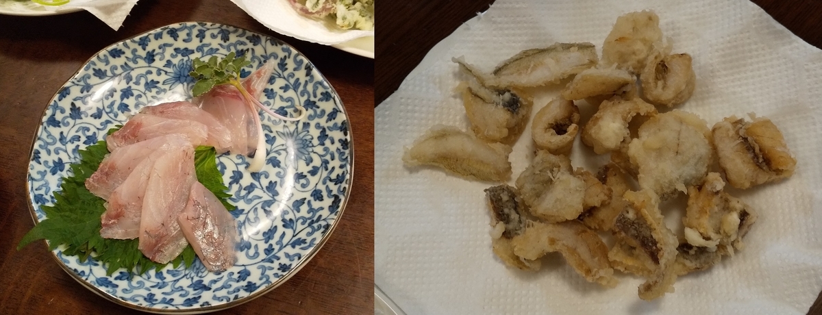 f:id:rioeyattchi:20200518093651j:plain