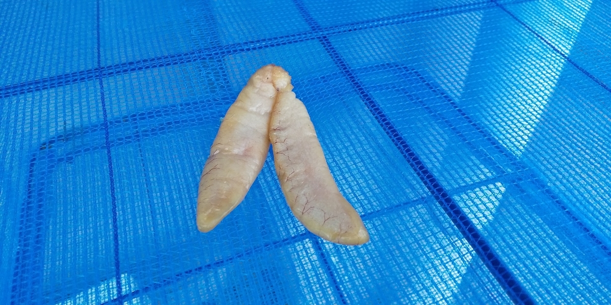 f:id:rioeyattchi:20200518095452j:plain