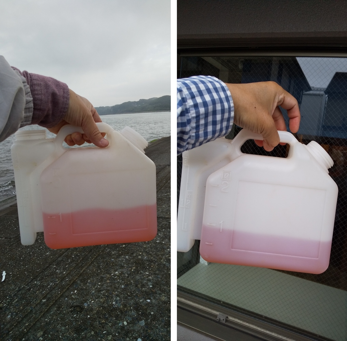 f:id:rioeyattchi:20200518095524j:plain